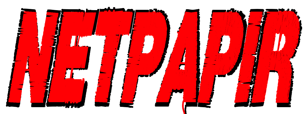 NetPAPIR